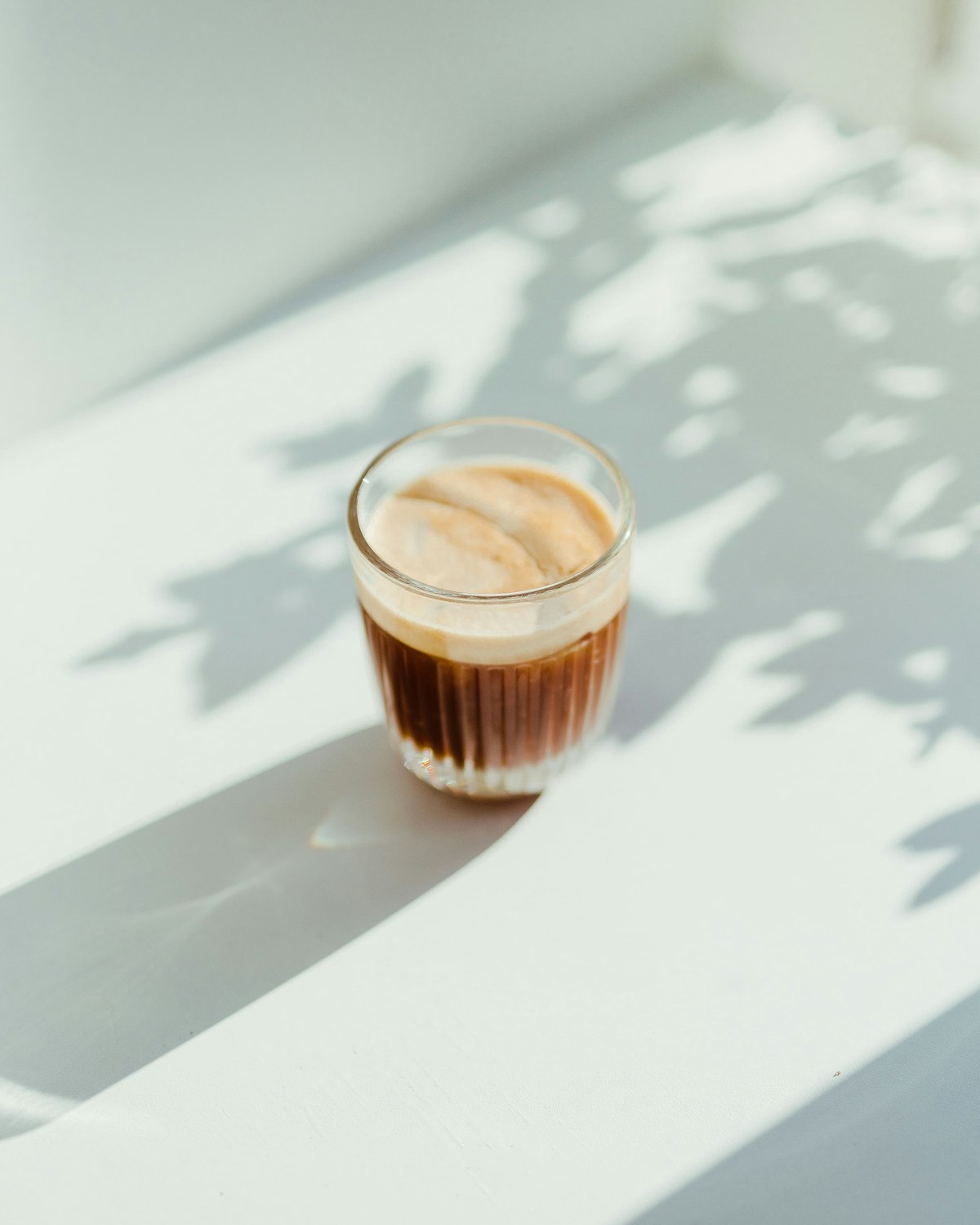 Specialty espresso served in the light at Opus